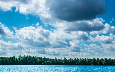 绿色树木在蓝色的水域在多云的天空下
